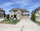 landscape construction
